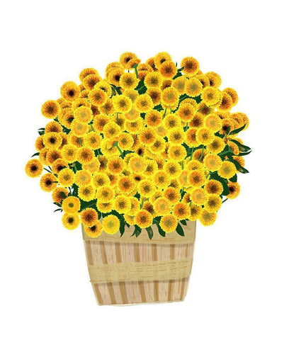 Yellow Mums White Modern Wood Framed Art Print with Double Matting by Bucheli, Jen