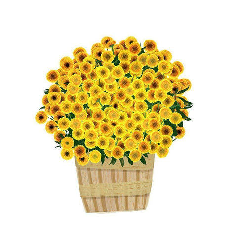 Yellow Mums Black Modern Wood Framed Art Print by Bucheli, Jen