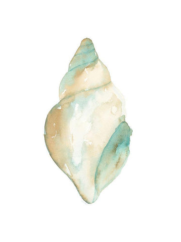 Priceless Shells I White Modern Wood Framed Art Print with Double Matting by Price, Lucille