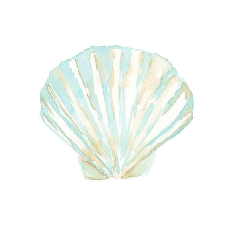 Priceless Shells III Black Modern Wood Framed Art Print with Double Matting by Price, Lucille