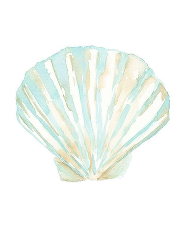 Priceless Shells III White Modern Wood Framed Art Print with Double Matting by Price, Lucille