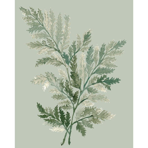 Tonal Green Ferns I Black Modern Wood Framed Art Print with Double Matting by Medley, Elizabeth