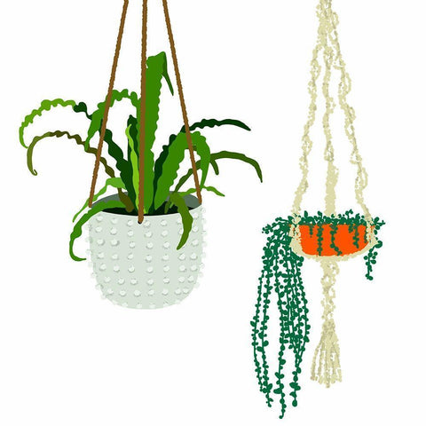 Hanging Plant Duo Black Modern Wood Framed Art Print by Bucheli, Jen