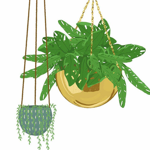 Hanging Plant Set Gold Ornate Wood Framed Art Print with Double Matting by Bucheli, Jen