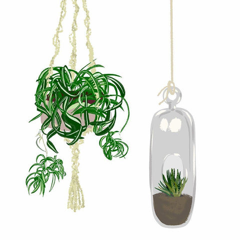 Hanging Plant Set II White Modern Wood Framed Art Print with Double Matting by Bucheli, Jen