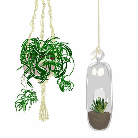 Hanging Plant Set II Black Modern Wood Framed Art Print by Bucheli, Jen