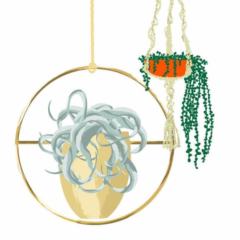 Hanging Plant Set III Black Modern Wood Framed Art Print by Bucheli, Jen
