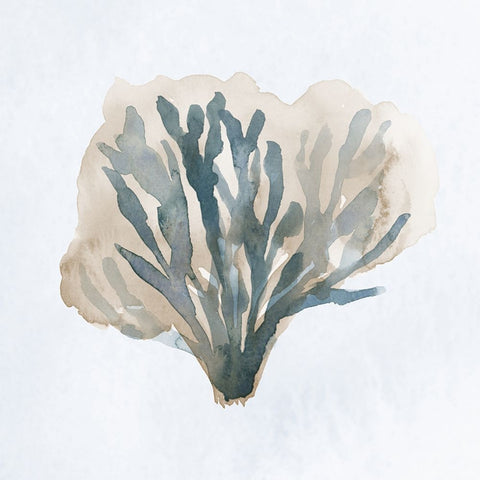 Atlantic Coral I White Modern Wood Framed Art Print with Double Matting by Price, Lucille