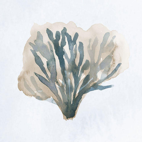 Atlantic Coral I White Modern Wood Framed Art Print by Price, Lucille
