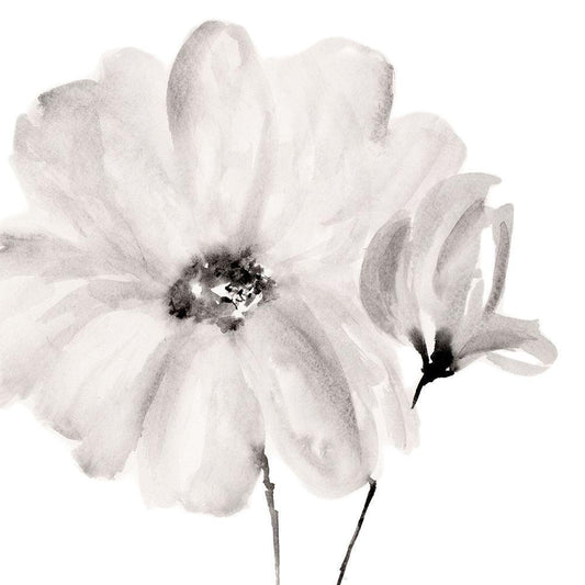 Image Only