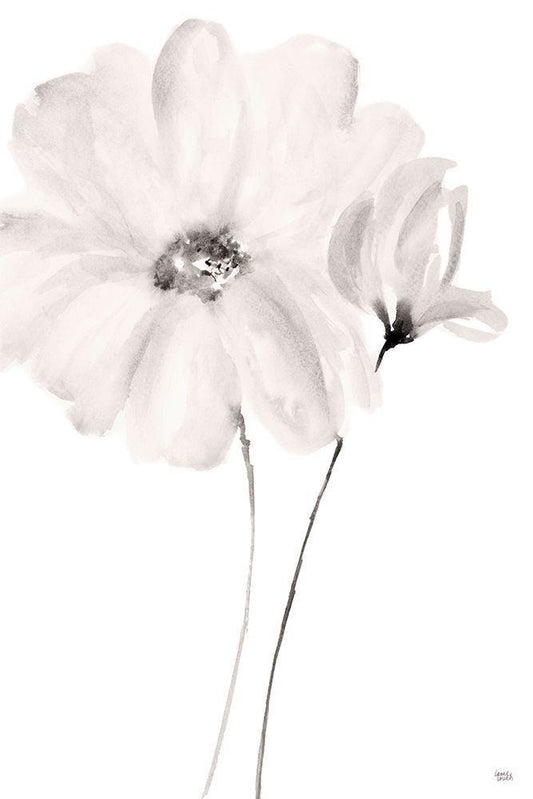 Image Only