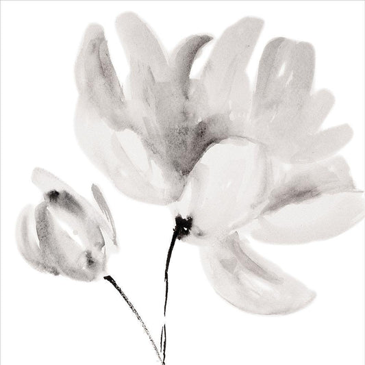 Image Only