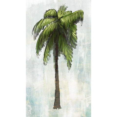 Single Palm Tree I Black Modern Wood Framed Art Print with Double Matting by Meneely, Dan