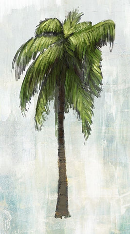 Single Palm Tree I Black Ornate Wood Framed Art Print with Double Matting by Meneely, Dan
