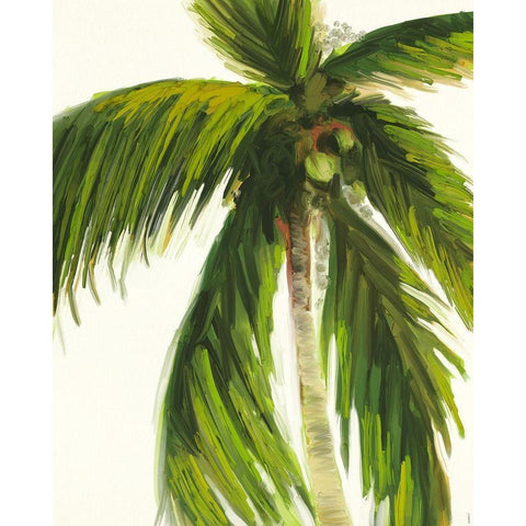 Resting Palm I Black Modern Wood Framed Art Print by Meneely, Dan