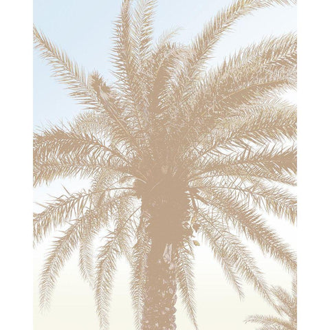 Tan Resting Palm Black Modern Wood Framed Art Print by Meneely, Dan