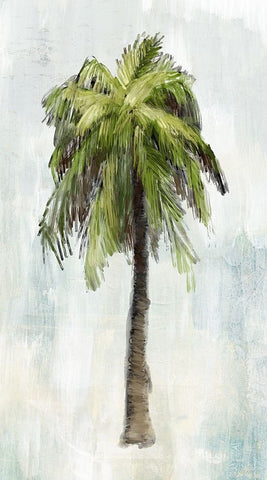 Single Palm Tree II White Modern Wood Framed Art Print with Double Matting by Meneely, Dan