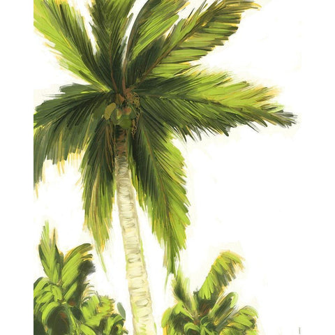 Resting Palm II Black Modern Wood Framed Art Print by Meneely, Dan