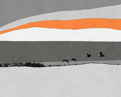 Birds Over Water White Modern Wood Framed Art Print with Double Matting by Tom, Ella