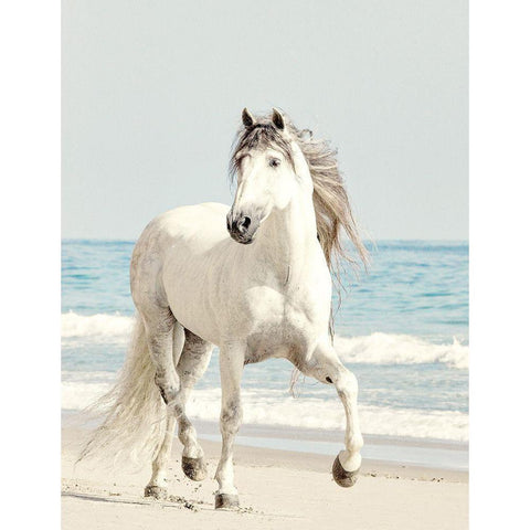 Beach Run White Modern Wood Framed Art Print by Walters, Jan