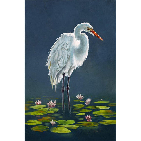 Egret Amongst The Lily Pads Black Modern Wood Framed Art Print by Sheppard, Lucca