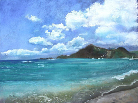 Caribbean Splendor Black Ornate Wood Framed Art Print with Double Matting by Maria, Robin