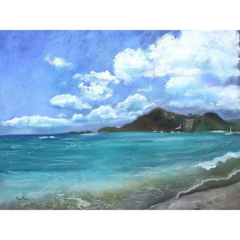 Caribbean Splendor Black Modern Wood Framed Art Print by Maria, Robin