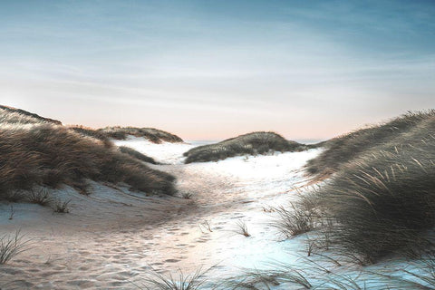 Dune Walk Black Ornate Wood Framed Art Print with Double Matting by Meneely, Dan