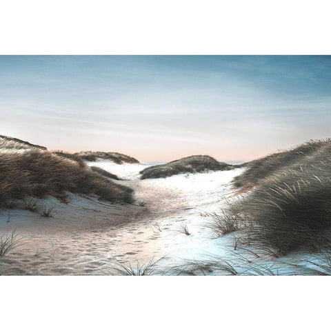 Dune Walk Black Modern Wood Framed Art Print by Meneely, Dan