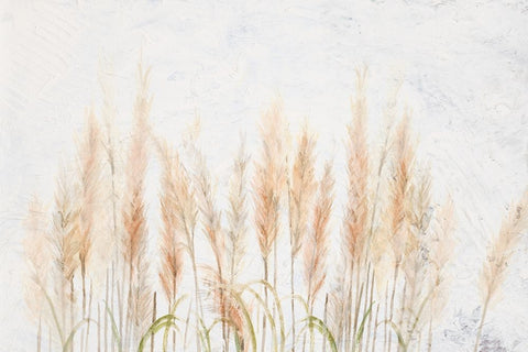 Delicate Pampas with Textured Background White Modern Wood Framed Art Print with Double Matting by Pinto, Patricia