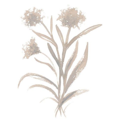 Beige Herb II Black Modern Wood Framed Art Print with Double Matting by Medley, Elizabeth