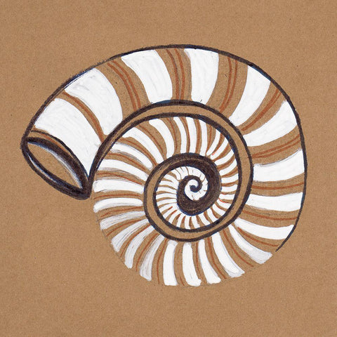 Ocean World Shell Black Modern Wood Framed Art Print with Double Matting by Pinto, Patricia