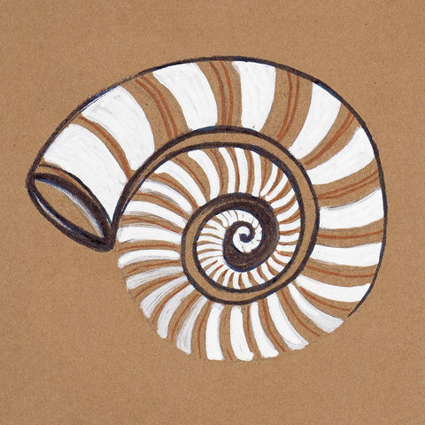 Ocean World Shell Black Ornate Wood Framed Art Print with Double Matting by Pinto, Patricia