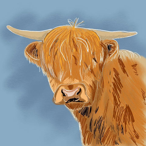 Highland Cow White Modern Wood Framed Art Print with Double Matting by Wilson, Kali