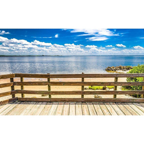 Ocean Overlook Gold Ornate Wood Framed Art Print with Double Matting by Bill Carson Photography