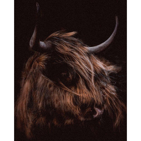 Moody Cow Black Modern Wood Framed Art Print with Double Matting by Meneely, Dan