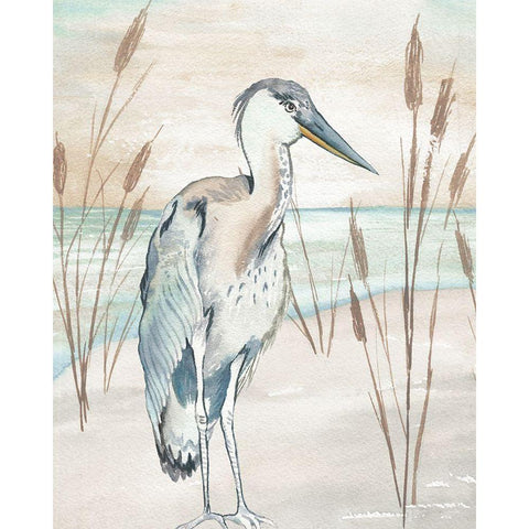 Heron By Beach Grass I Black Modern Wood Framed Art Print with Double Matting by Medley, Elizabeth