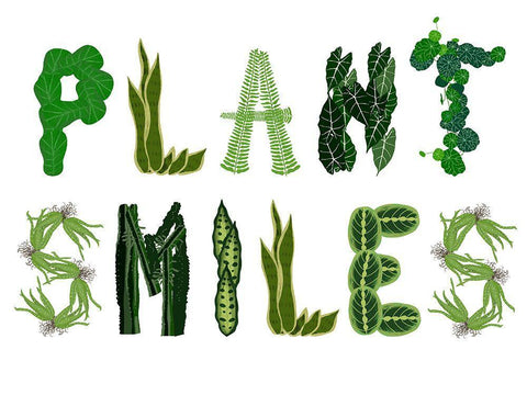Plant Smiles White Modern Wood Framed Art Print with Double Matting by Bucheli, Jen