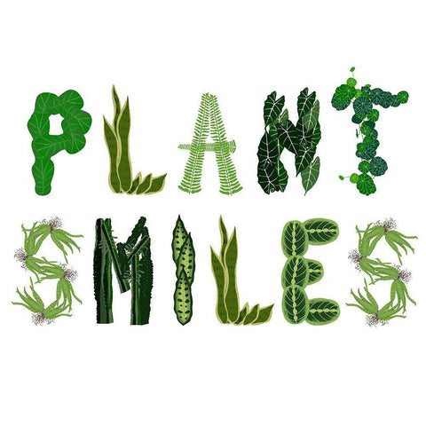 Plant Smiles Black Modern Wood Framed Art Print with Double Matting by Bucheli, Jen