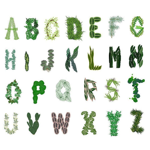 Plant Alphabet Black Modern Wood Framed Art Print by Bucheli, Jen