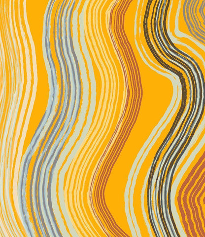 Yellow Band Waves Black Ornate Wood Framed Art Print with Double Matting by Maria, Robin