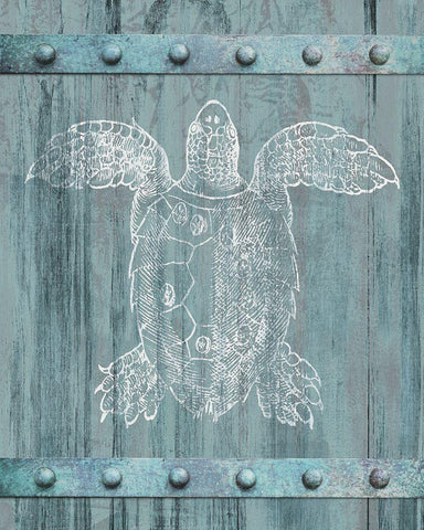 White Turtle Painted On Blue Wood Black Ornate Wood Framed Art Print with Double Matting by Meneely, Dan