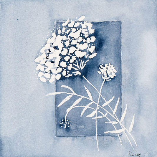 Image Only
