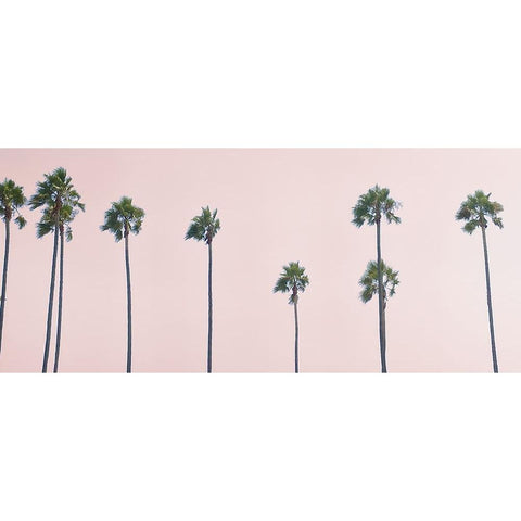 West Coast Palms Sunset Black Modern Wood Framed Art Print by Myers, Amelia