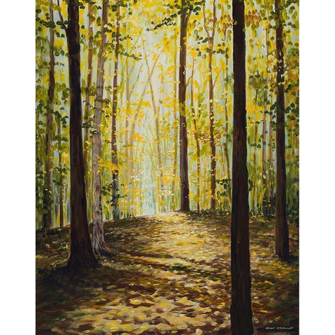 Autumn Forest Black Modern Wood Framed Art Print with Double Matting by Nawrocke, Bruce