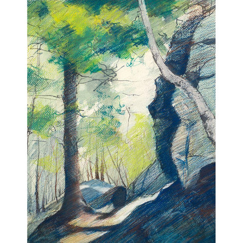 Sunrise In The Woods White Modern Wood Framed Art Print by Nawrocke, Bruce