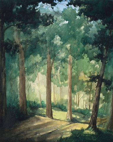 Hike In The Dark Green Woods Black Ornate Wood Framed Art Print with Double Matting by Nawrocke, Bruce