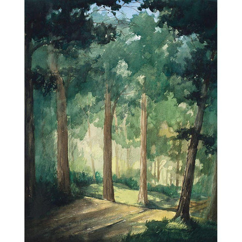 Hike In The Dark Green Woods Black Modern Wood Framed Art Print by Nawrocke, Bruce