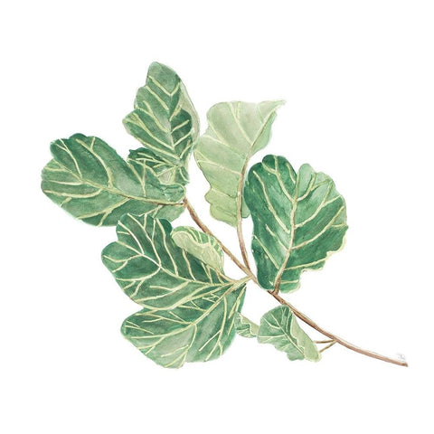 Fiddle Fig Leaf II White Modern Wood Framed Art Print by Pinto, Patricia