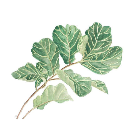 Fiddle Fig Leaf I Gold Ornate Wood Framed Art Print with Double Matting by Pinto, Patricia